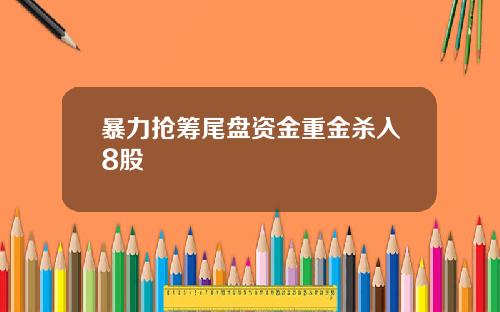 暴力抢筹尾盘资金重金杀入8股