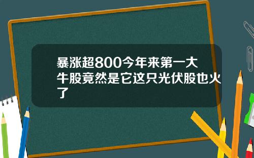 暴涨超800今年来第一大牛股竟然是它这只光伏股也火了