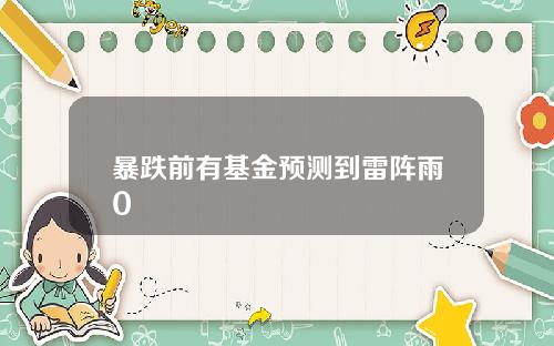 暴跌前有基金预测到雷阵雨0
