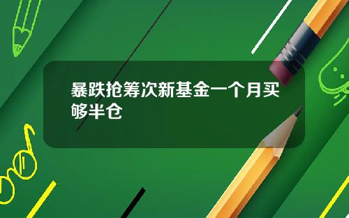 暴跌抢筹次新基金一个月买够半仓