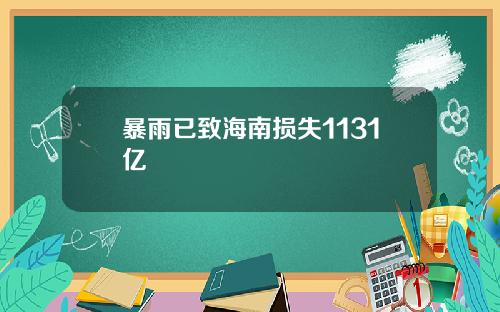 暴雨已致海南损失1131亿
