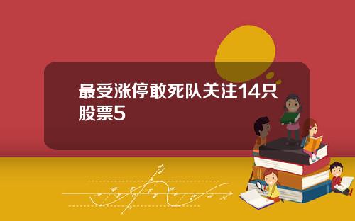 最受涨停敢死队关注14只股票5