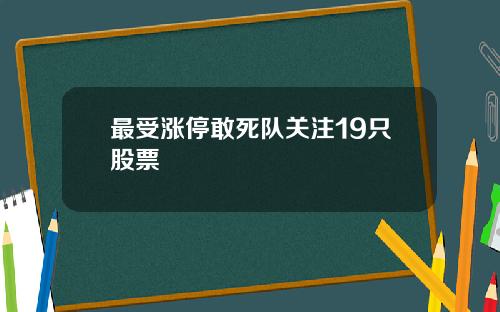 最受涨停敢死队关注19只股票