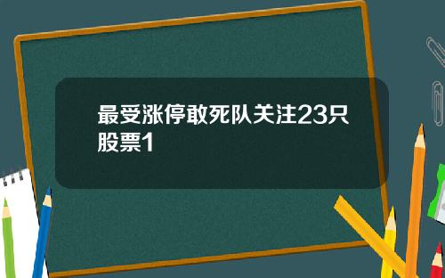 最受涨停敢死队关注23只股票1