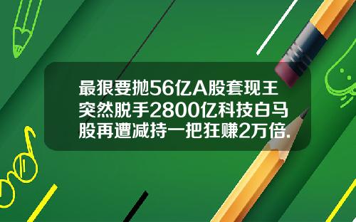最狠要抛56亿A股套现王突然脱手2800亿科技白马股再遭减持一把狂赚2万倍.