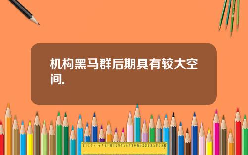 机构黑马群后期具有较大空间.