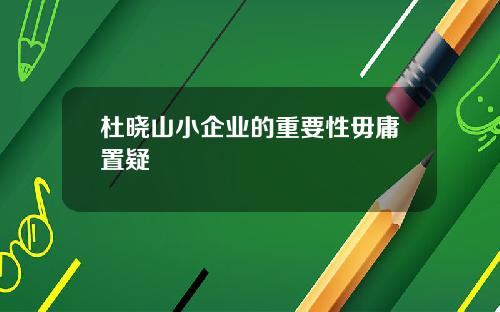 杜晓山小企业的重要性毋庸置疑