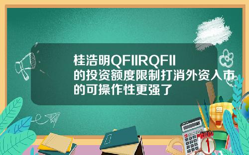 桂浩明QFIIRQFII的投资额度限制打消外资入市的可操作性更强了