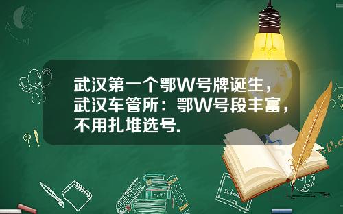 武汉第一个鄂W号牌诞生，武汉车管所：鄂W号段丰富，不用扎堆选号.