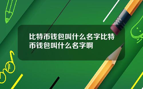 比特币钱包叫什么名字比特币钱包叫什么名字啊