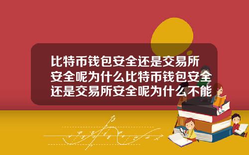 比特币钱包安全还是交易所安全呢为什么比特币钱包安全还是交易所安全呢为什么不能用