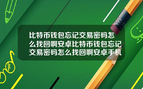 比特币钱包忘记交易密码怎么找回啊安卓比特币钱包忘记交易密码怎么找回啊安卓手机