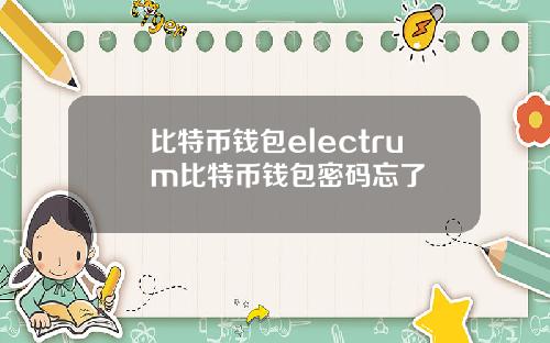 比特币钱包electrum比特币钱包密码忘了