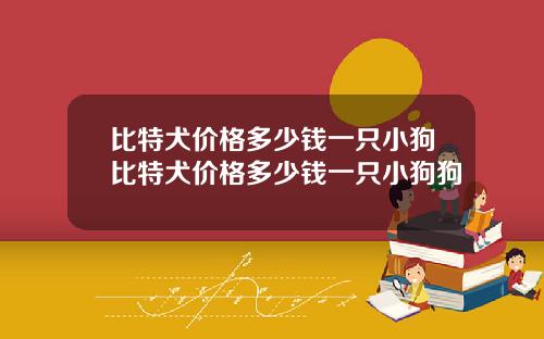 比特犬价格多少钱一只小狗比特犬价格多少钱一只小狗狗