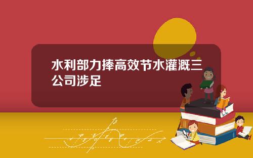 水利部力捧高效节水灌溉三公司涉足