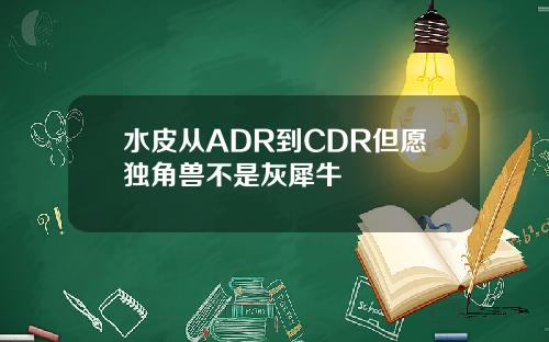 水皮从ADR到CDR但愿独角兽不是灰犀牛