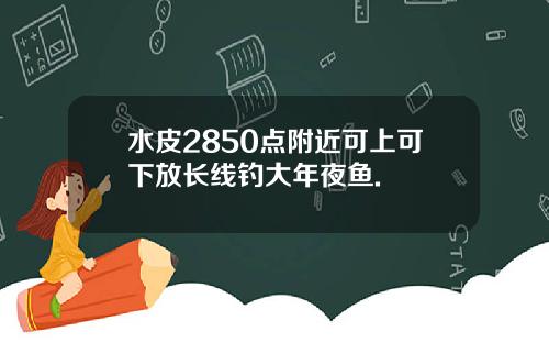 水皮2850点附近可上可下放长线钓大年夜鱼.