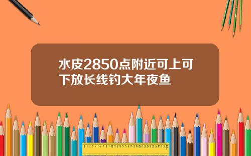 水皮2850点附近可上可下放长线钓大年夜鱼