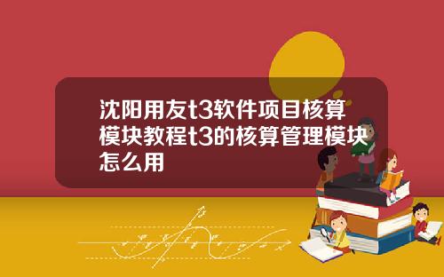 沈阳用友t3软件项目核算模块教程t3的核算管理模块怎么用