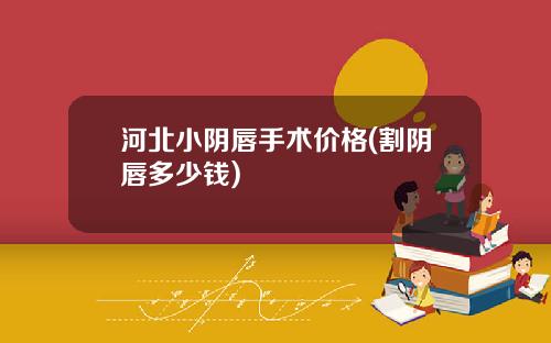 河北小阴唇手术价格(割阴唇多少钱)