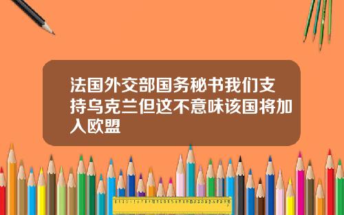 法国外交部国务秘书我们支持乌克兰但这不意味该国将加入欧盟