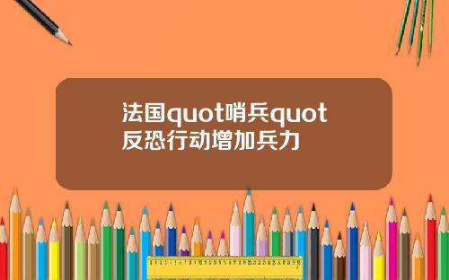 法国quot哨兵quot反恐行动增加兵力