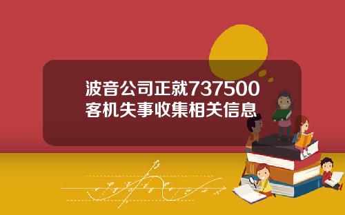 波音公司正就737500客机失事收集相关信息