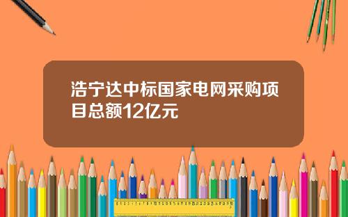 浩宁达中标国家电网采购项目总额12亿元