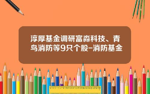 淳厚基金调研富淼科技、青鸟消防等9只个股-消防基金
