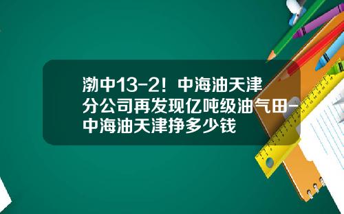 渤中13-2！中海油天津分公司再发现亿吨级油气田-中海油天津挣多少钱