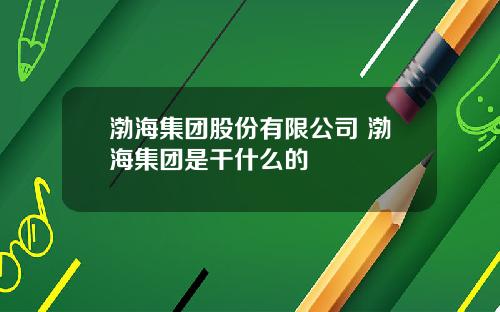 渤海集团股份有限公司 渤海集团是干什么的