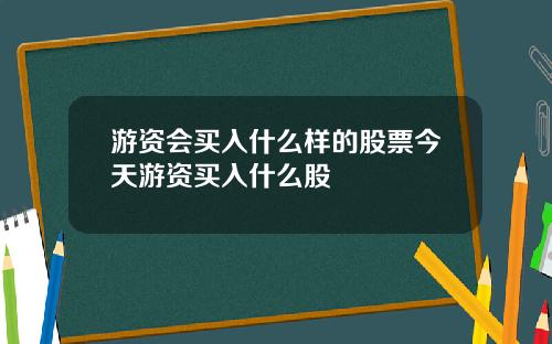 游资会买入什么样的股票今天游资买入什么股