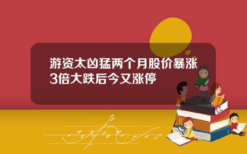 游资太凶猛两个月股价暴涨3倍大跌后今又涨停