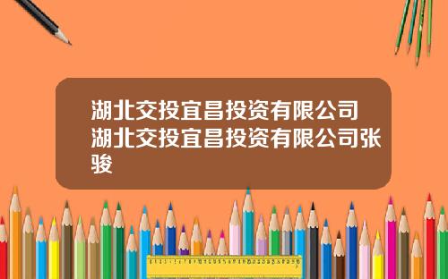 湖北交投宜昌投资有限公司湖北交投宜昌投资有限公司张骏