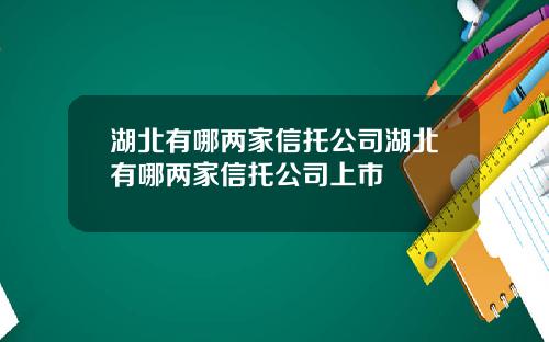 湖北有哪两家信托公司湖北有哪两家信托公司上市
