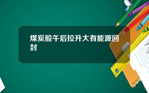 煤炭股午后拉升大有能源回封