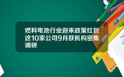 燃料电池行业迎来政策红包这10家公司9月获机构密集调研