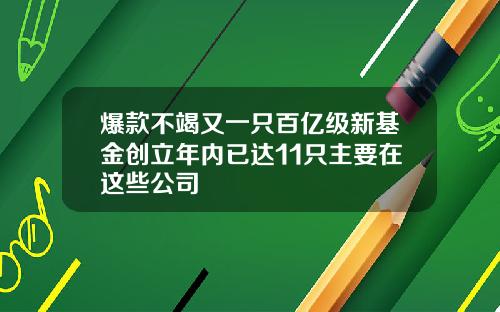 爆款不竭又一只百亿级新基金创立年内已达11只主要在这些公司