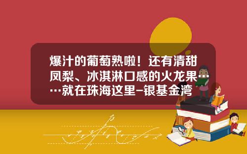 爆汁的葡萄熟啦！还有清甜凤梨、冰淇淋口感的火龙果……就在珠海这里-银基金湾