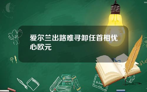 爱尔兰出路难寻卸任首相忧心欧元