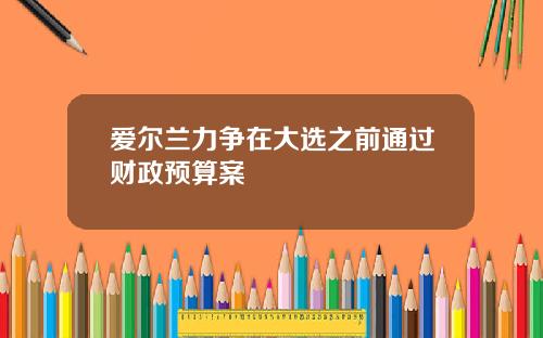 爱尔兰力争在大选之前通过财政预算案