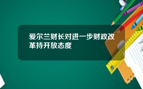 爱尔兰财长对进一步财政改革持开放态度