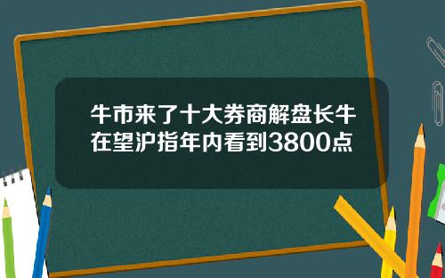 牛市来了十大券商解盘长牛在望沪指年内看到3800点