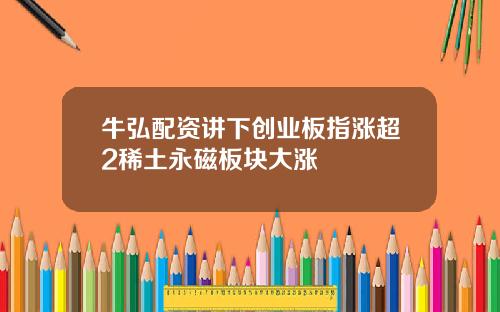 牛弘配资讲下创业板指涨超2稀土永磁板块大涨