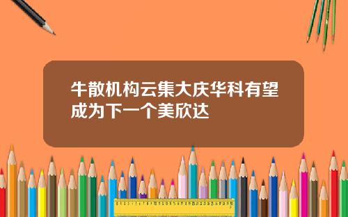 牛散机构云集大庆华科有望成为下一个美欣达