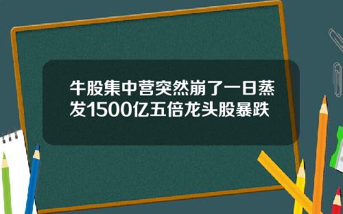 牛股集中营突然崩了一日蒸发1500亿五倍龙头股暴跌