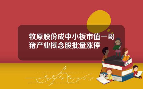 牧原股份成中小板市值一哥猪产业概念股批量涨停