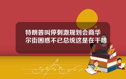 特朗普叫停刺激规划会商华尔街困惑不已总统这是在干啥