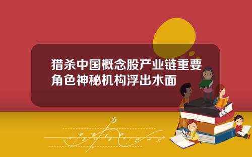 猎杀中国概念股产业链重要角色神秘机构浮出水面