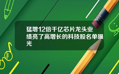 猛增12倍千亿芯片龙头业绩亮了高增长的科技股名单曝光